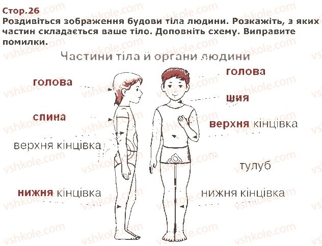 фото задание стор26 - п’ятий тиждень. я відповідаю за своє здоров’я - наше перше дослідження: «людина»