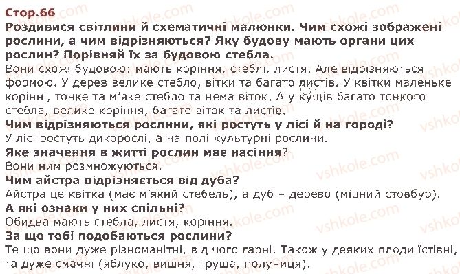 фото задание стор66 - двадцять восьмий тиждень. рослини — окраса землі - наше четверте дослідження — «людина і природа»