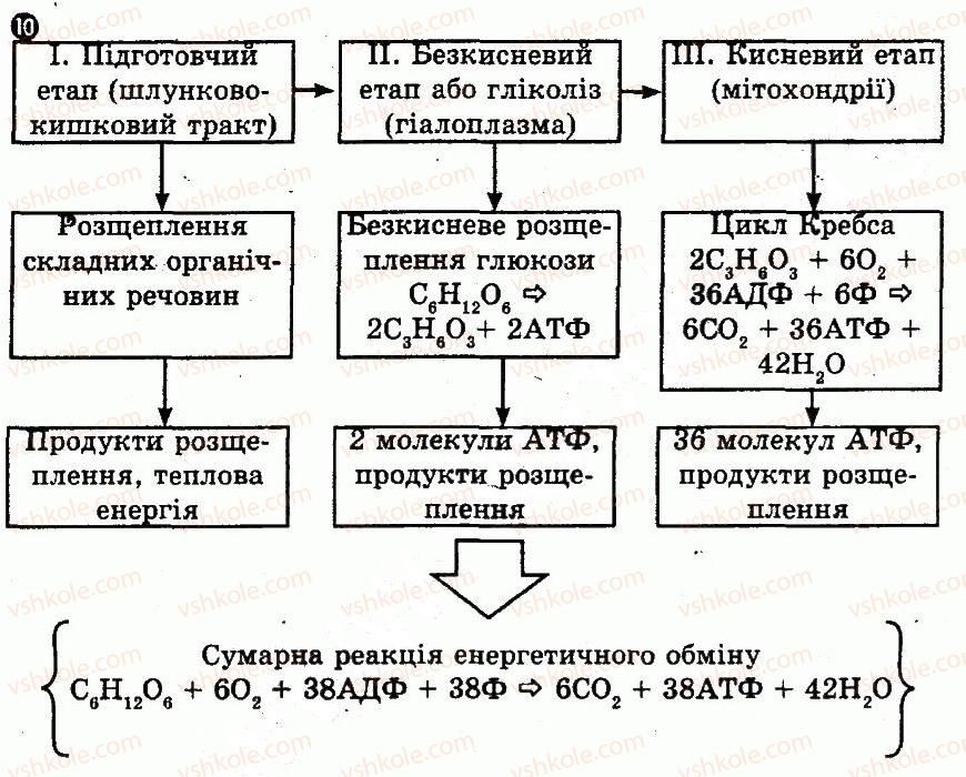 фото задание 10 - варіант 1 - контроль знань за 2 семестр