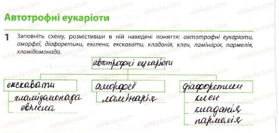 фото задание 1 - автотрофні еукаріоти - тема 1. біорізноманіття