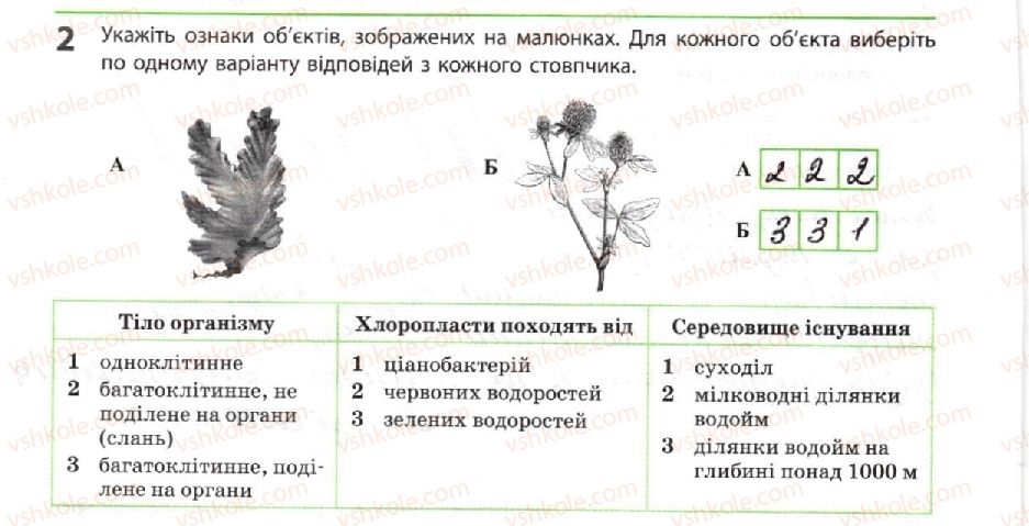 фото задание 2 - автотрофні еукаріоти - тема 1. біорізноманіття