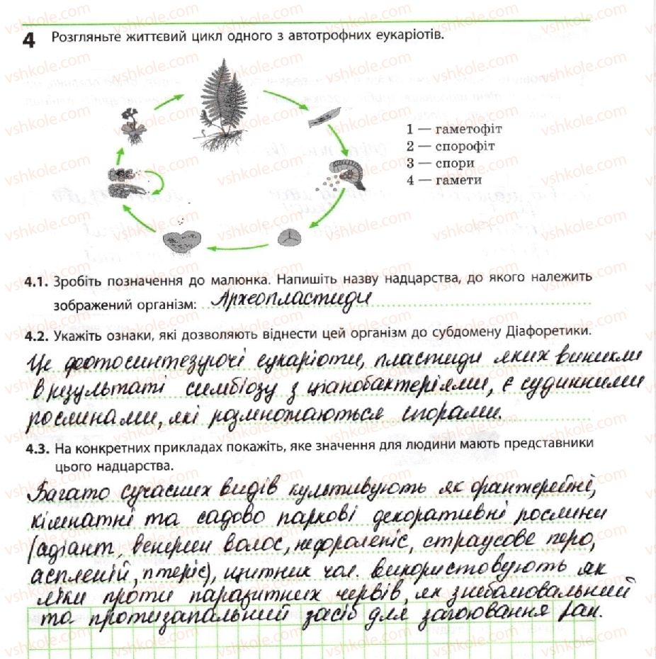 фото задание 4 - автотрофні еукаріоти - тема 1. біорізноманіття