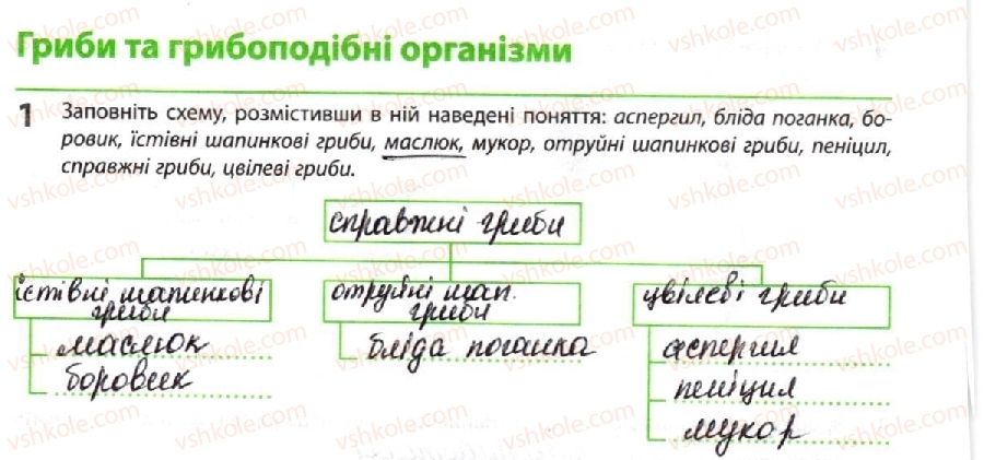 фото задание 1 - гриби та грибоподібні організми - тема 1. біорізноманіття