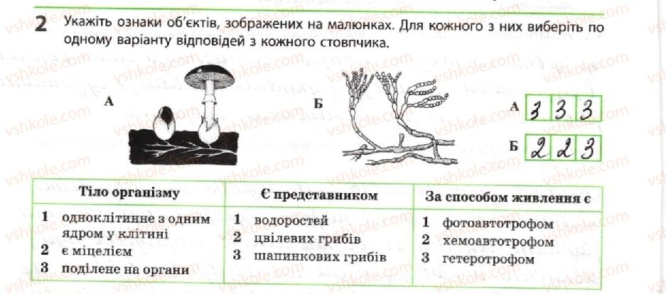фото задание 2 - гриби та грибоподібні організми - тема 1. біорізноманіття