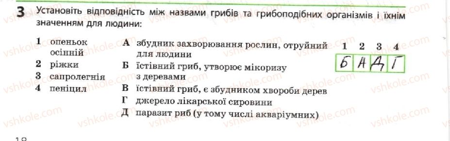 фото задание 3 - гриби та грибоподібні організми - тема 1. біорізноманіття
