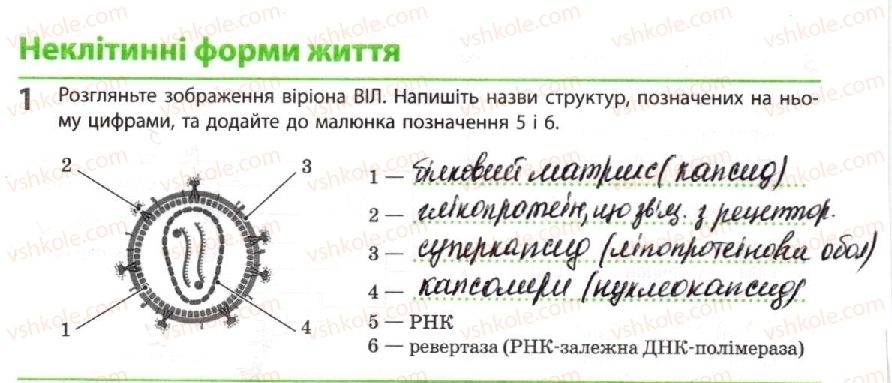 фото задание 1 - неклітинні форми життя - тема 1. біорізноманіття
