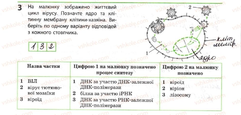 фото задание 3 - неклітинні форми життя - тема 1. біорізноманіття