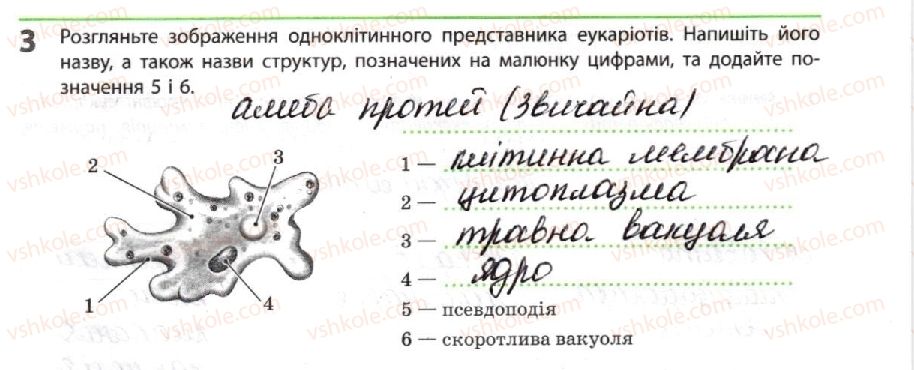 фото задание 3 - систематика еукаріотів - тема 1. біорізноманіття