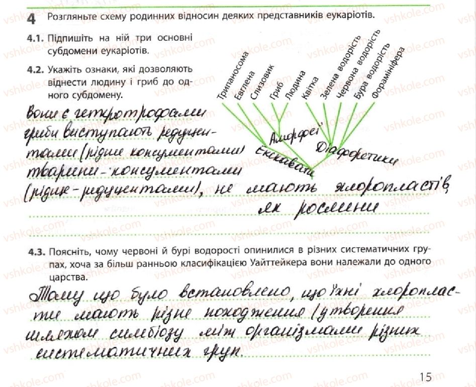 фото задание 4 - систематика еукаріотів - тема 1. біорізноманіття