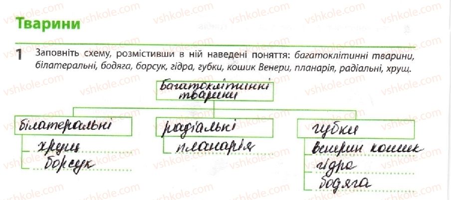 фото задание 1 - тварини - тема 1. біорізноманіття