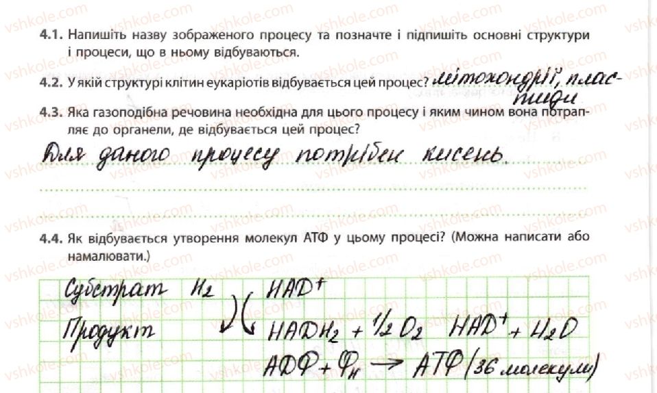 фото задание 4 - енергетичне забезпечення метаболізму - тема 2. обмін речовин і перетворення енергії