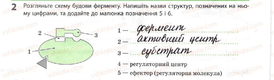 фото задание 2 - ферменти. вітаміни - тема 2. обмін речовин і перетворення енергії