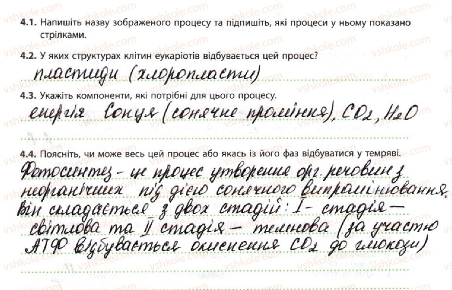 фото задание 4 - обмін в автотрофів і гетеротрофів - тема 2. обмін речовин і перетворення енергії