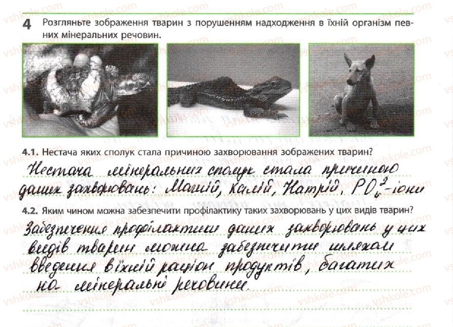 фото задание 4 - порушення обміну речовин - тема 2. обмін речовин і перетворення енергії