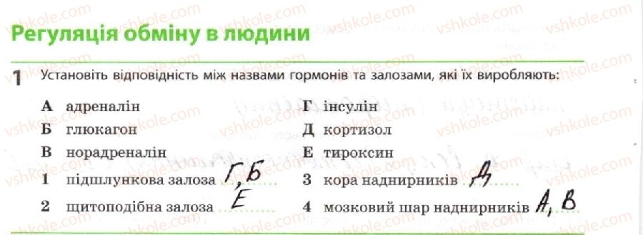 фото задание 1 - регуляція обміну в людини - тема 2. обмін речовин і перетворення енергії