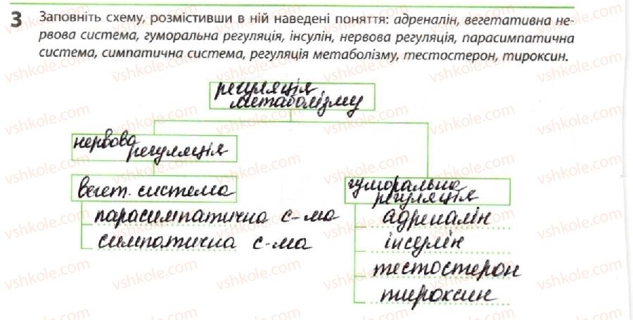фото задание 3 - регуляція обміну в людини - тема 2. обмін речовин і перетворення енергії