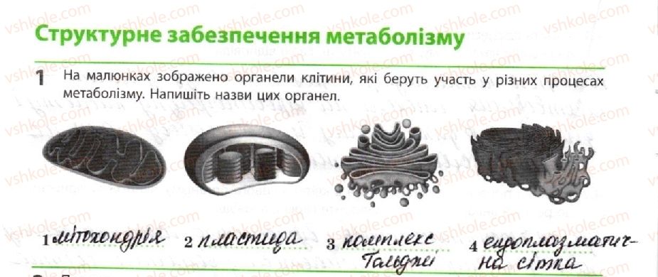 фото задание 1 - структурне забезпечення метаболізму - тема 2. обмін речовин і перетворення енергії
