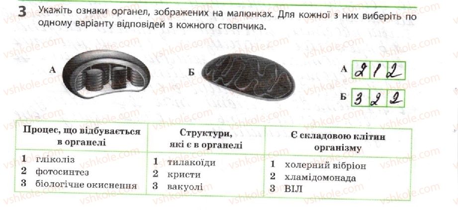фото задание 3 - структурне забезпечення метаболізму - тема 2. обмін речовин і перетворення енергії
