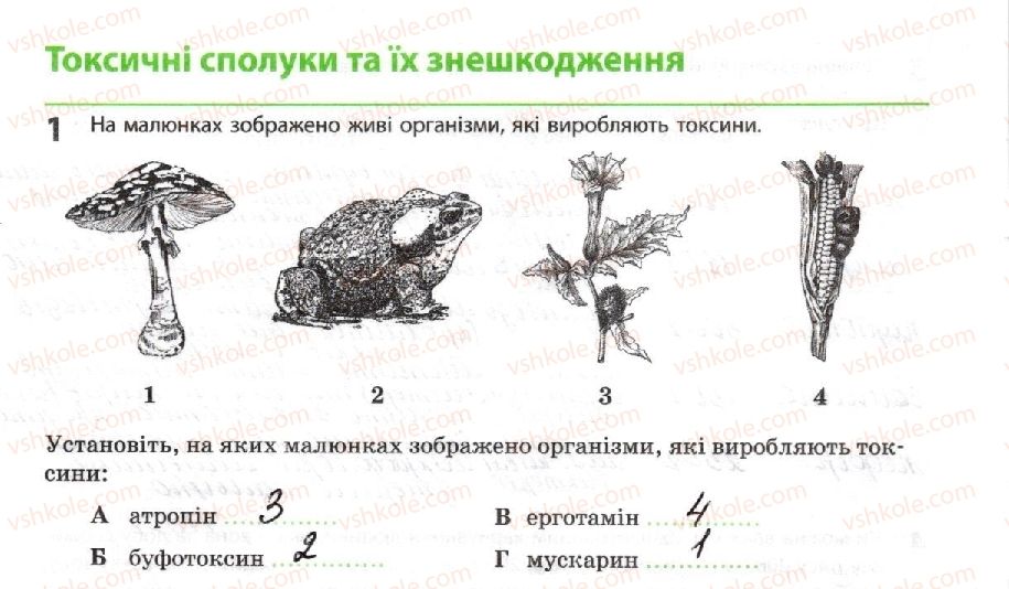 фото задание 1 - токсичні сполуки та їх знешкодження - тема 2. обмін речовин і перетворення енергії