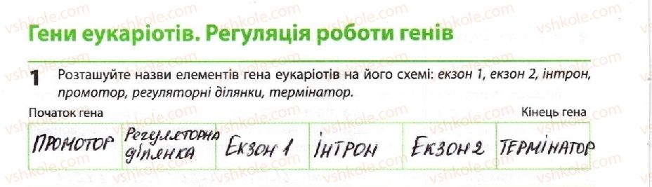 фото задание 1 - гени еукаріотів. регуляція роботи генів - тема 3. спадковість і мінливість