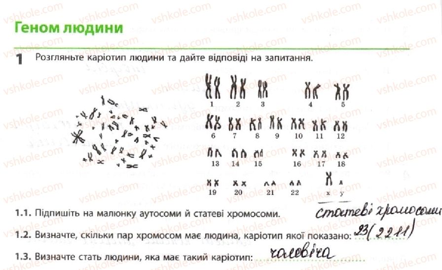 фото задание 1 - геном людини - тема 3. спадковість і мінливість