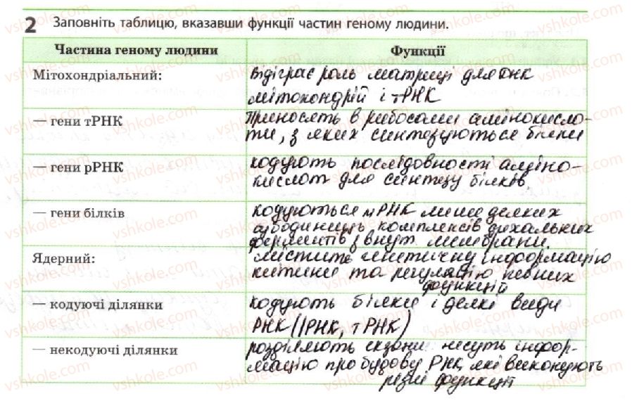 фото задание 2 - геном людини - тема 3. спадковість і мінливість