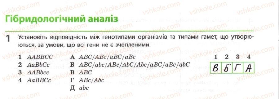 фото задание 1 - гібридологічний аналіз - тема 3. спадковість і мінливість