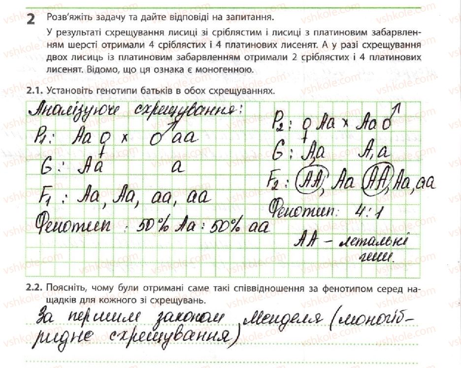 фото задание 2 - гібридологічний аналіз - тема 3. спадковість і мінливість