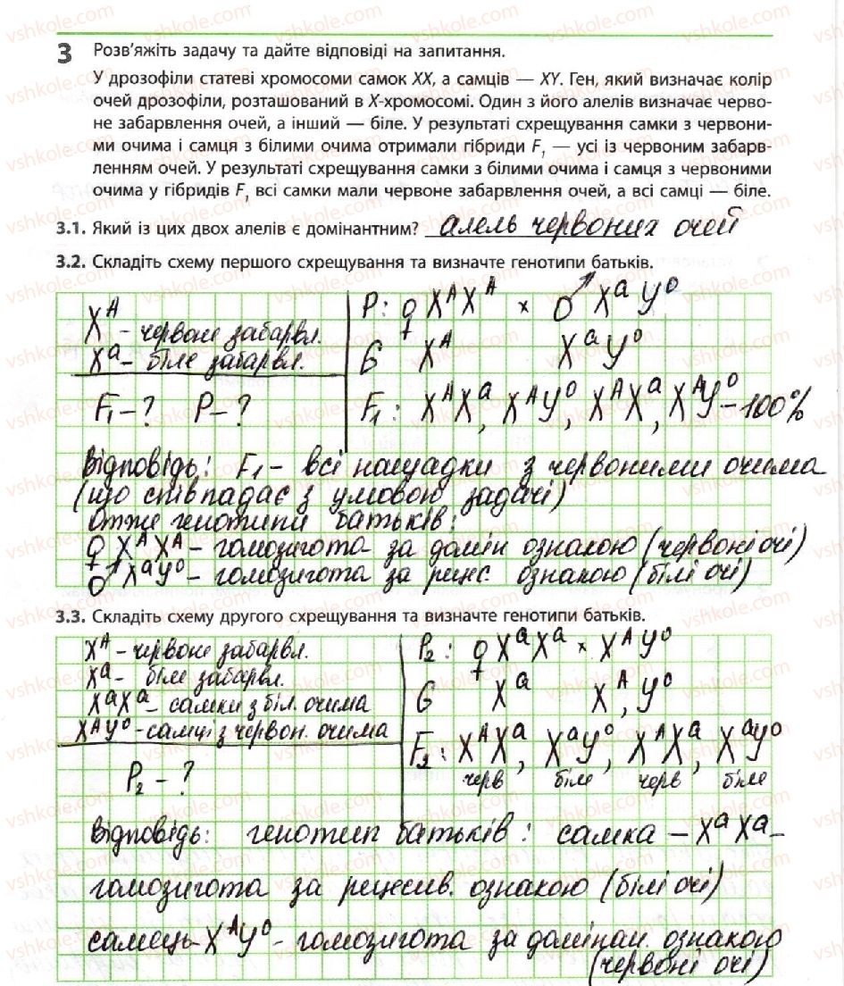 фото задание 3 - гібридологічний аналіз - тема 3. спадковість і мінливість