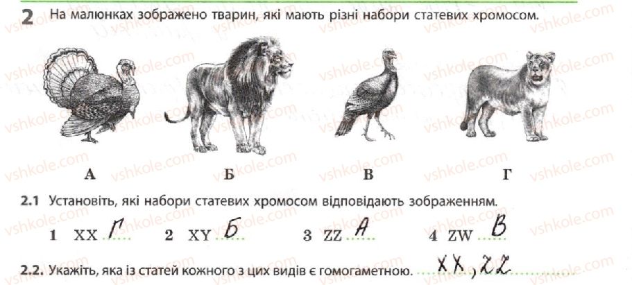 фото задание 2 - хромосоми. каріотип - тема 3. спадковість і мінливість
