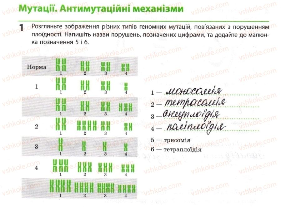 фото задание 1 - мутації. антимутаційні механізми - тема 3. спадковість і мінливість