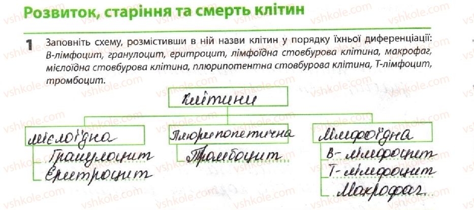 фото задание 1 - розвиток, старіння та смерть клітин - тема 4. репродукція та розвиток організмів