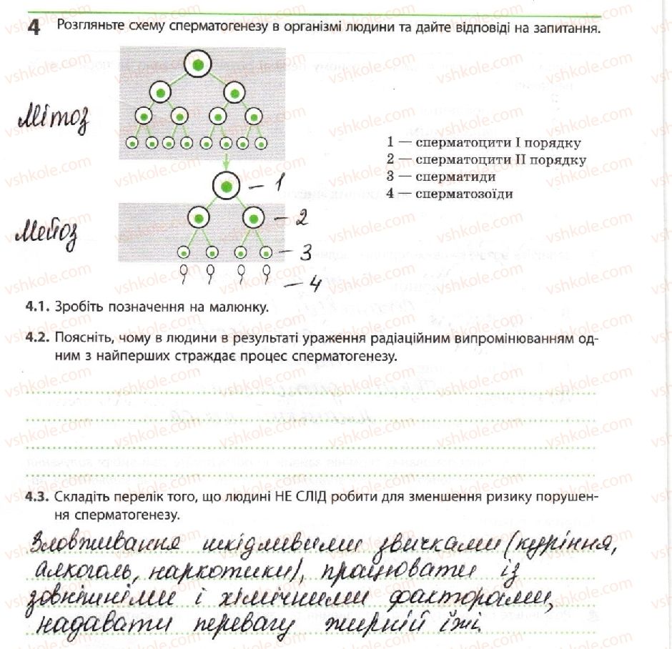 фото задание 4 - статеві клітини та запліднення у людини - тема 4. репродукція та розвиток організмів
