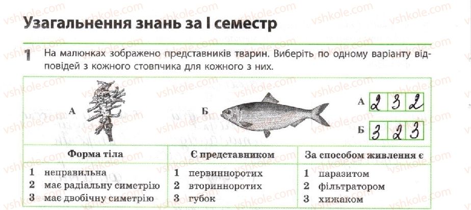 фото задание 1 - узагальнення знань за і семестр