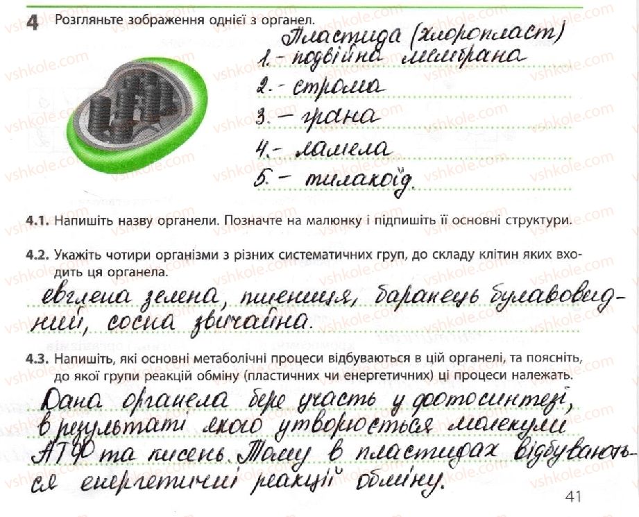 фото задание 4 - узагальнення знань за і семестр