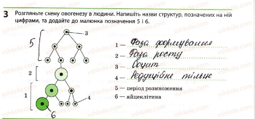 фото задание 3 - узагальнення знань за іі семестр