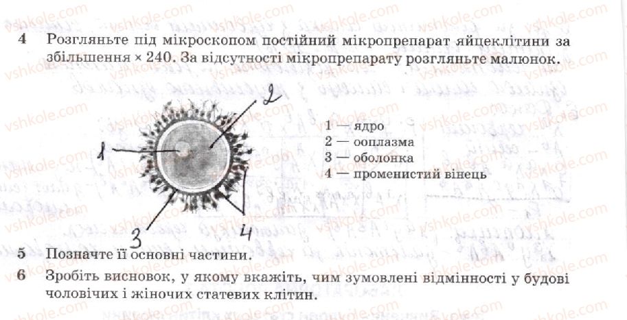 фото задание 1 - лабораторна робота 3. вивчення будови статевих клітин людини - вкладиш. зошит для лабораторних та практичних робіт