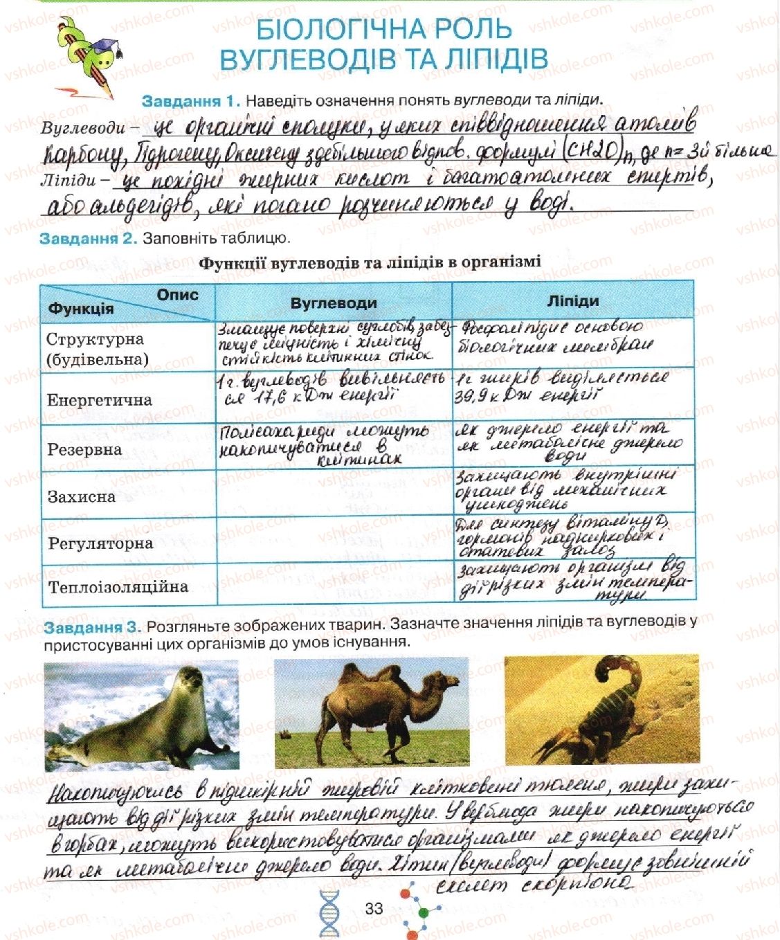 фото задание стор33 - тема 2. обмін речовин та перетворення енергії