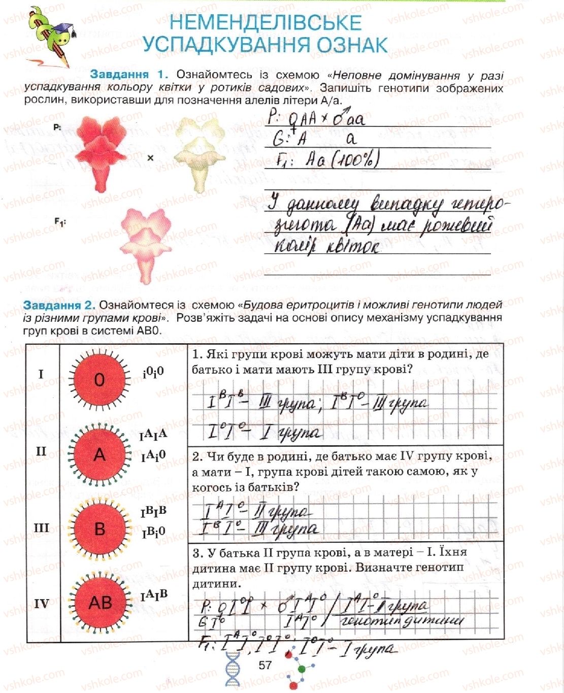 фото задание стор57 - тема 3. спадковість та мінливість