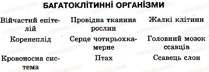 фото задание 1 - сторінка 107 - багатоклітинні організми