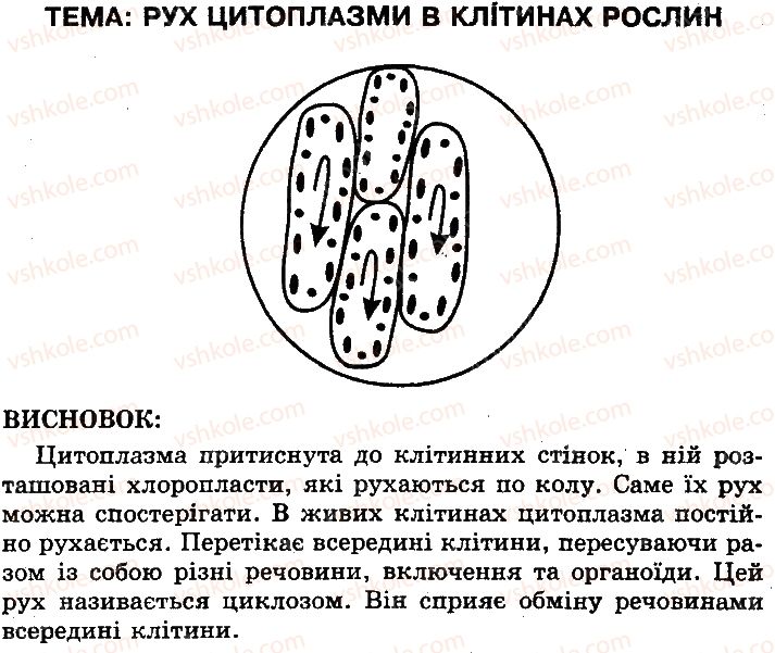 фото задание 1 - сторінка 56 - цитоплазма, її компоненти