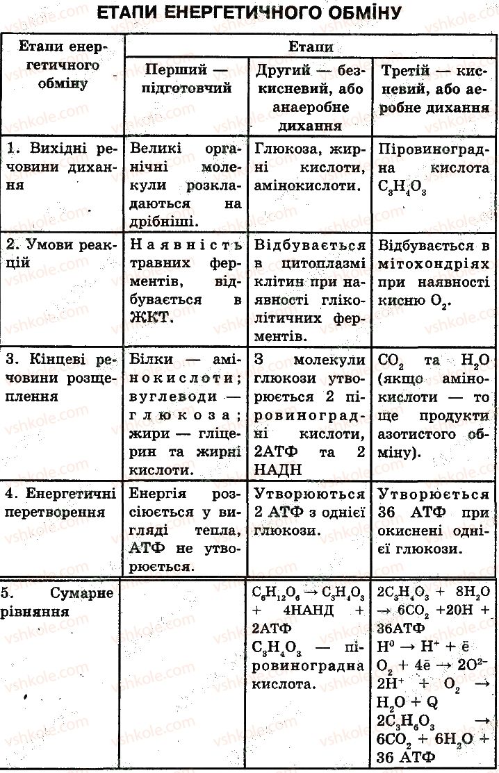 фото задание 1 - сторінка 62 - цитоплазма, її компоненти