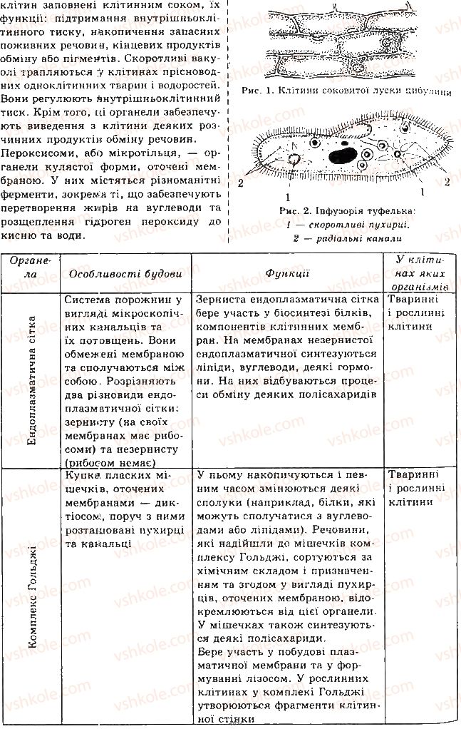 фото задание 2 - лабораторна робота 6 - лабораторні роботи