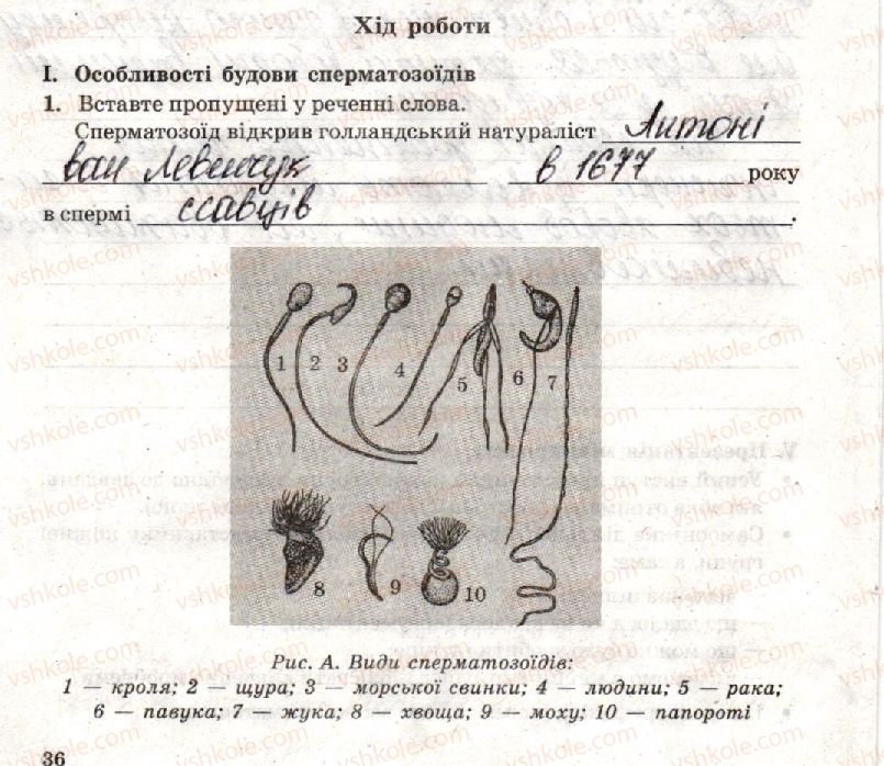 фото задание стр36 - лабораторна робота 3. будова статевих клітин