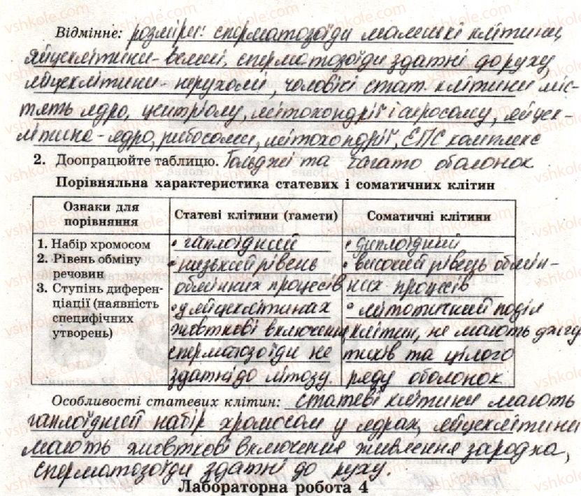 фото задание стр41 - лабораторна робота 3. будова статевих клітин