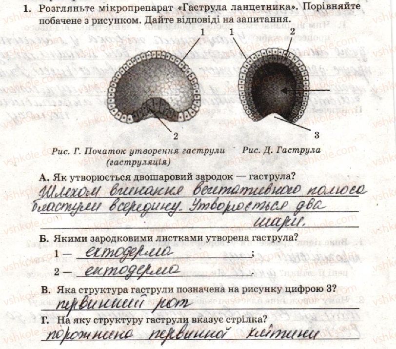 фото задание стр44 - лабораторна робота 4. вивчення етапів ембріогенезу
