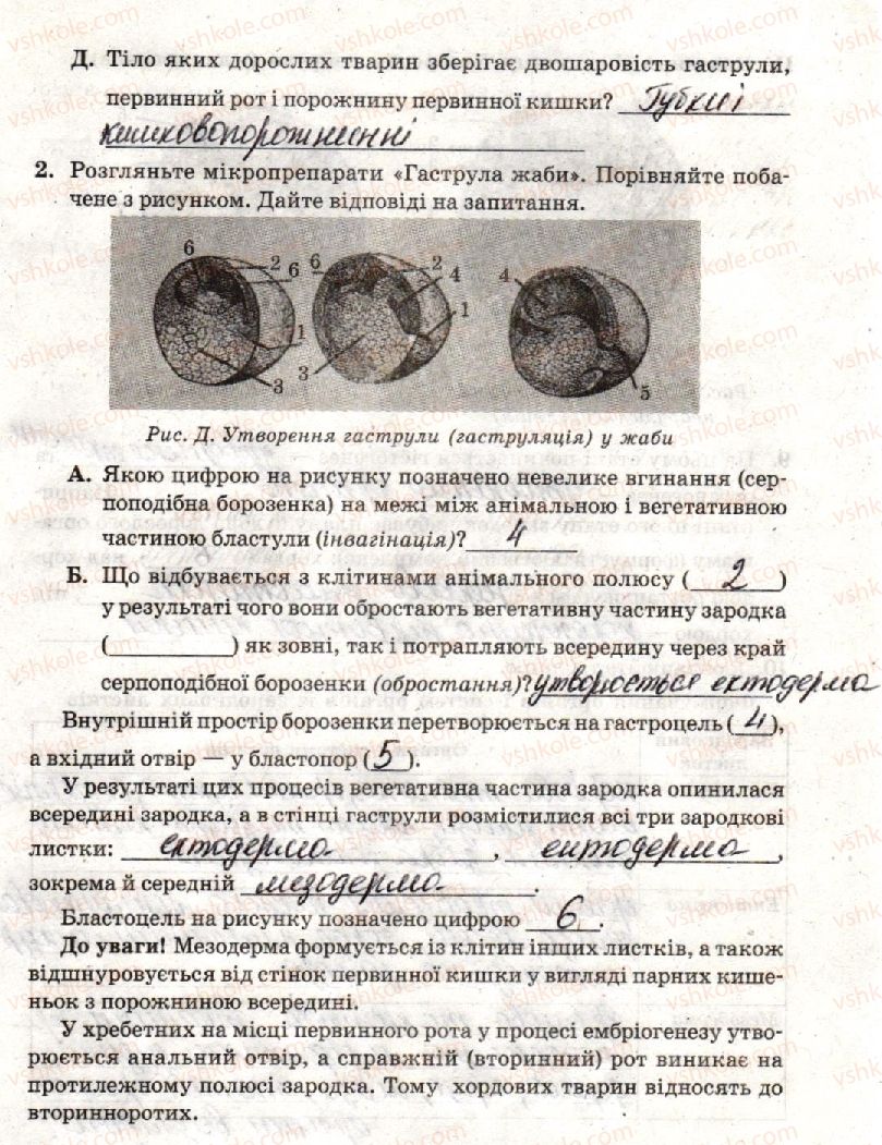 фото задание стр45 - лабораторна робота 4. вивчення етапів ембріогенезу