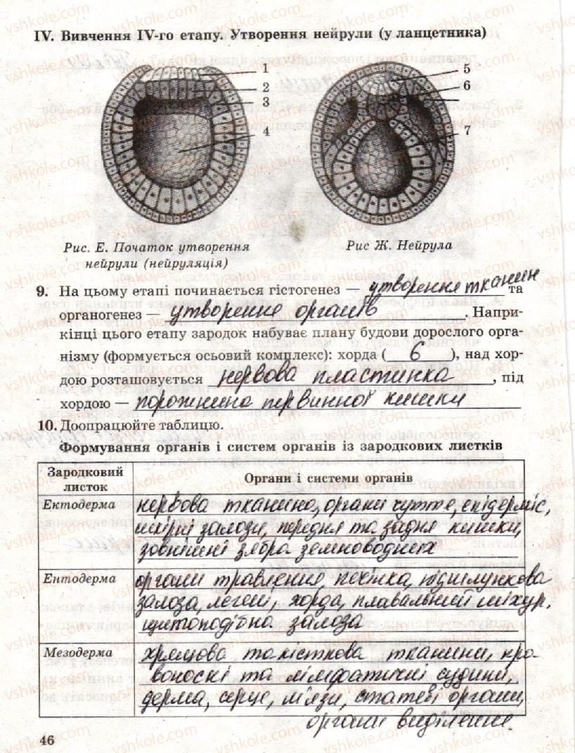 фото задание стр46 - лабораторна робота 4. вивчення етапів ембріогенезу