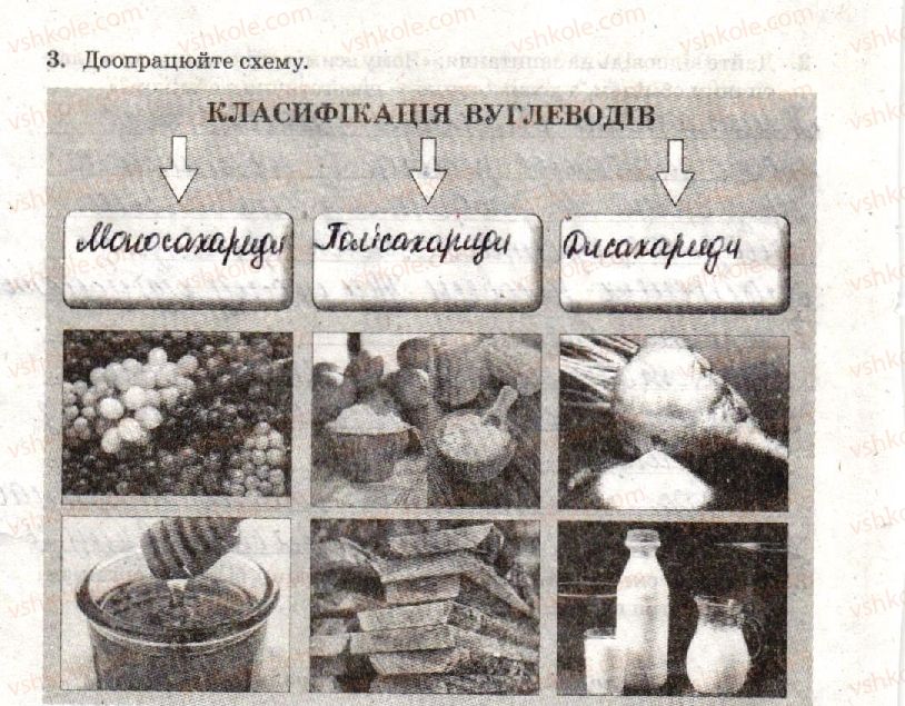 фото задание стр16 - практична робота 1. складання схем обміну