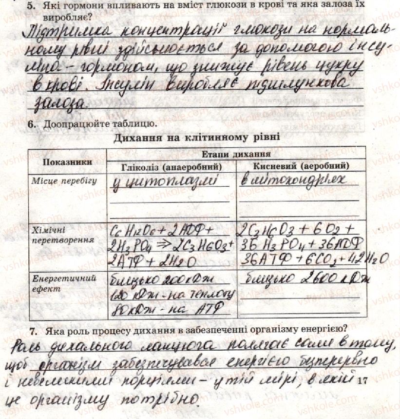 фото задание стр17 - практична робота 1. складання схем обміну
